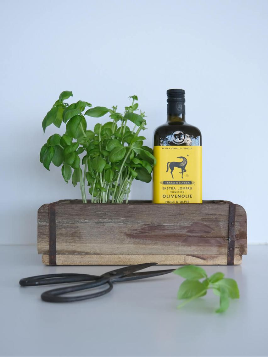 A bottle of Tunisian extra virgin olive oil placed in a rustic wooden crate made from reclaimed wood, accompanied by fresh basil and a black pair of scissors on a white background.