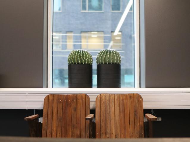 To kaktusser i sorte potter foran vindue